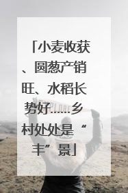 小麦收获、圆葱产销旺、水稻长势好……乡村处处是“丰”景