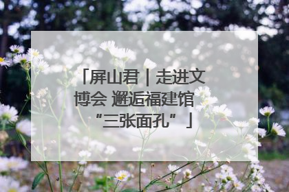 屏山君｜走进文博会 邂逅福建馆“三张面孔”