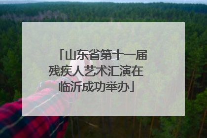 山东省第十一届残疾人艺术汇演在临沂成功举办