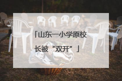 山东一小学原校长被“双开”