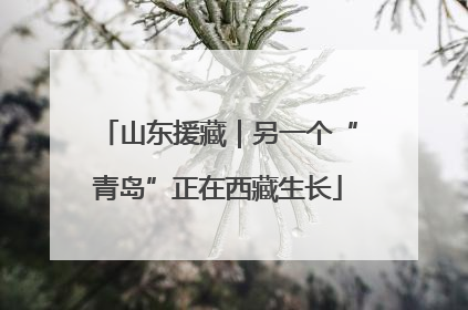 山东援藏｜另一个“青岛”正在西藏生长