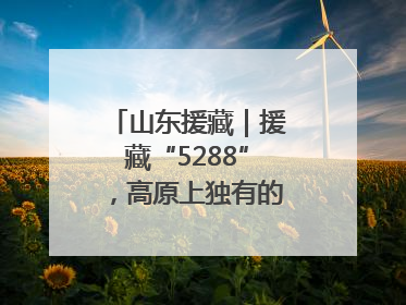 山东援藏｜援藏“5288”，高原上独有的“烟台浪漫”