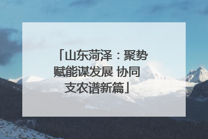 山东菏泽：聚势赋能谋发展 协同支农谱新篇