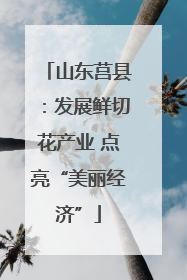 山东莒县：发展鲜切花产业 点亮“美丽经济”