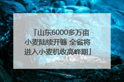 山东6000多万亩小麦陆续开镰 全省将进入小麦机收高峰期