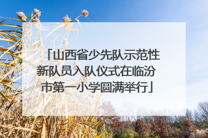 山西省少先队示范性新队员入队仪式在临汾市第一小学圆满举行