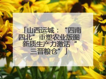 山西运城：“四南四北”重塑农业版图 新质生产力激活“三晋粮仓”