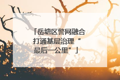 岳塘区警网融合 打通基层治理“最后一公里”