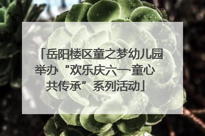 岳阳楼区童之梦幼儿园举办“欢乐庆六一·童心共传承”系列活动