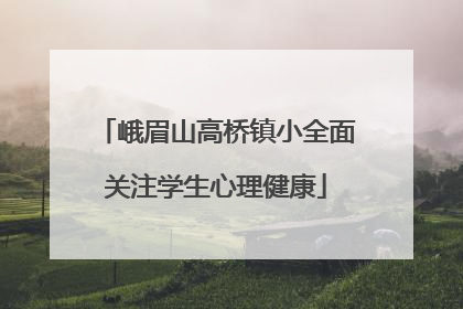 峨眉山高桥镇小全面关注学生心理健康
