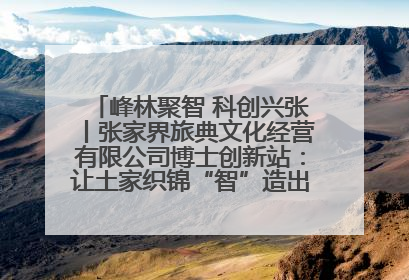 峰林聚智 科创兴张丨张家界旅典文化经营有限公司博士创新站：让土家织锦“智”造出非遗新传奇