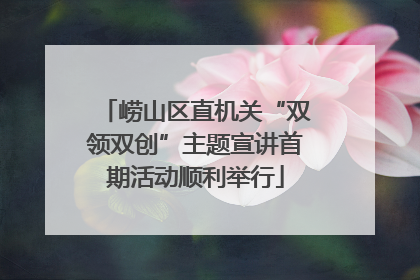 崂山区直机关“双领双创”主题宣讲首期活动顺利举行