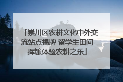 崇川区农耕文化中外交流站点揭牌 留学生田间挥镰体验农耕之乐