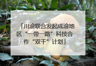 川渝联合发起成渝地区“一带一路”科技合作“双千”计划