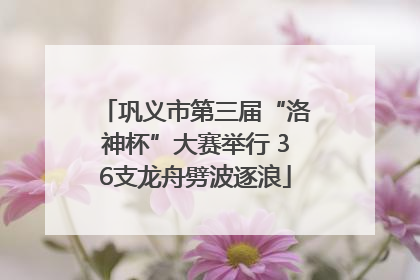 巩义市第三届“洛神杯”大赛举行 36支龙舟劈波逐浪