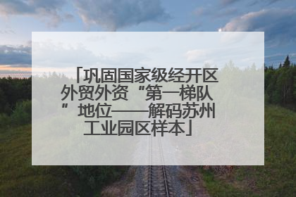 巩固国家级经开区外贸外资“第一梯队”地位——解码苏州工业园区样本