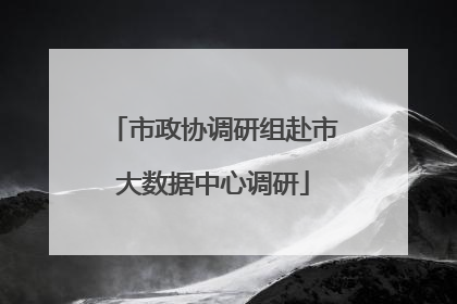 市政协调研组赴市大数据中心调研