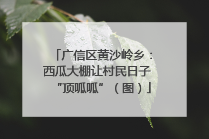 广信区黄沙岭乡：西瓜大棚让村民日子“顶呱呱”（图）