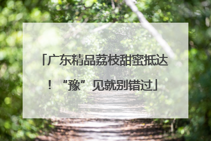 广东精品荔枝甜蜜抵达！“豫”见就别错过