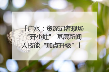 广水：资深记者现场“开小灶” 基层新闻人技能“加点升级”