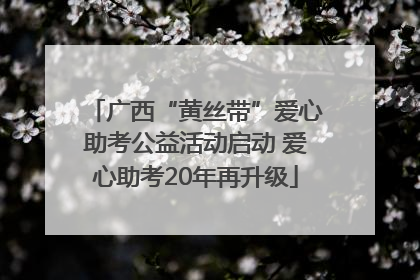 广西“黄丝带”爱心助考公益活动启动 爱心助考20年再升级