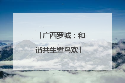 广西罗城：和谐共生鹭鸟欢