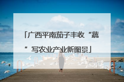 广西平南茄子丰收“蔬”写农业产业新图景
