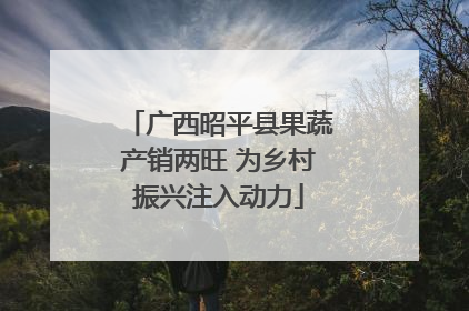 广西昭平县果蔬产销两旺 为乡村振兴注入动力