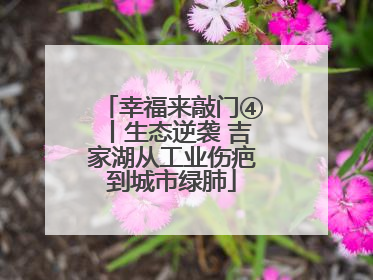 幸福来敲门④丨生态逆袭 吉家湖从工业伤疤到城市绿肺