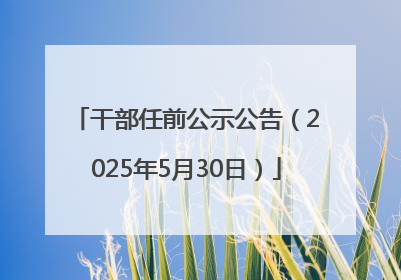 干部任前公示公告（2025年5月30日）
