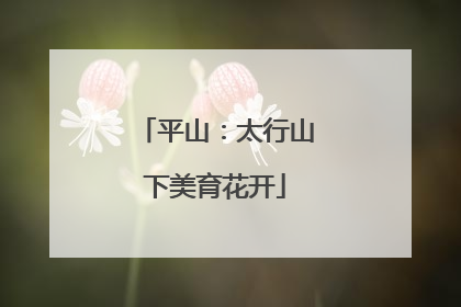 平山：太行山下美育花开