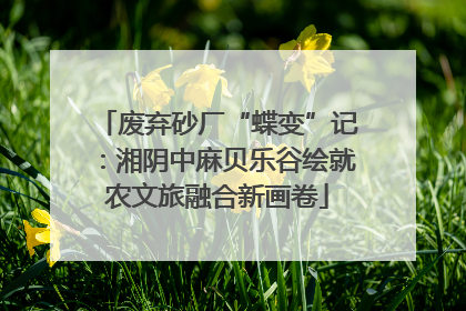 废弃砂厂“蝶变”记：湘阴中麻贝乐谷绘就农文旅融合新画卷