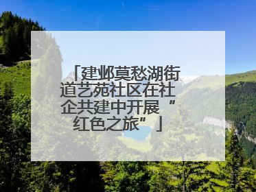 建邺莫愁湖街道艺苑社区在社企共建中开展“红色之旅”