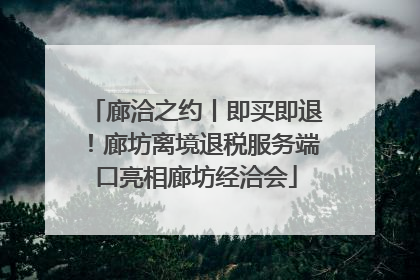 廊洽之约丨即买即退！廊坊离境退税服务端口亮相廊坊经洽会