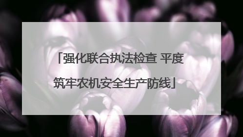 强化联合执法检查 平度筑牢农机安全生产防线