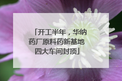 开工半年，华纳药厂原料药新基地四大车间封顶