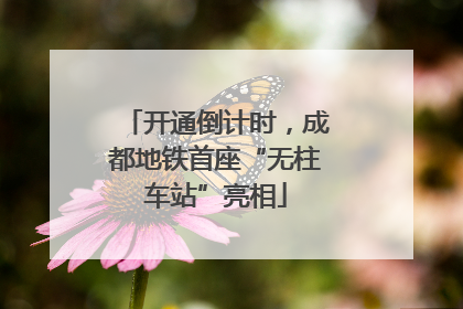 开通倒计时，成都地铁首座“无柱车站”亮相