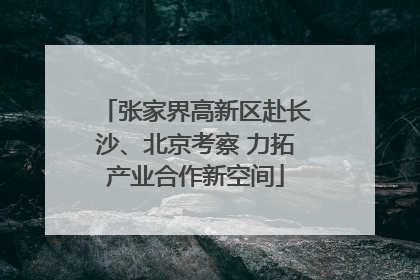 张家界高新区赴长沙、北京考察 力拓产业合作新空间