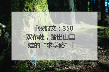 张锦文：350双布鞋，踏出山里娃的“求学路”