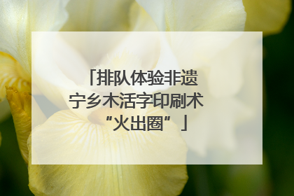排队体验非遗 宁乡木活字印刷术“火出圈”