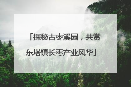 探秘古枣溪园，共赏东塔镇长枣产业风华