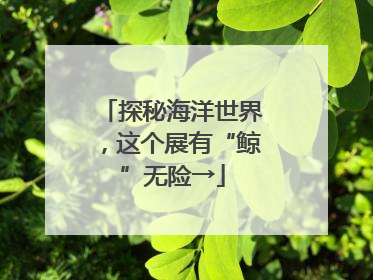 探秘海洋世界，这个展有“鲸”无险→