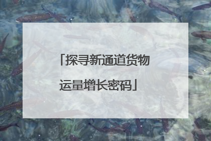 探寻新通道货物运量增长密码