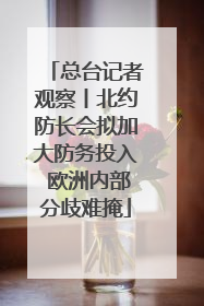 总台记者观察丨北约防长会拟加大防务投入 欧洲内部分歧难掩