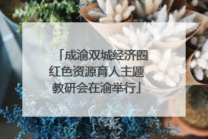 成渝双城经济圈红色资源育人主题教研会在渝举行
