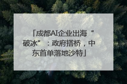 成都AI企业出海“破冰”：政府搭桥，中东首单落地沙特