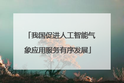 我国促进人工智能气象应用服务有序发展