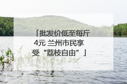 批发价低至每斤4元 兰州市民享受“荔枝自由”