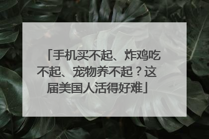 手机买不起、炸鸡吃不起、宠物养不起？这届美国人活得好难