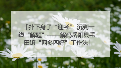 扑下身子“迎考” 沉到一线“解题”——解码岳阳县毛田镇“四多四好”工作法